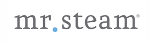Gray and blue font Mr. Steam logo.